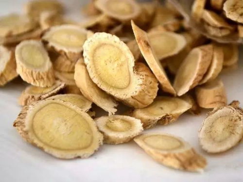 黄芪西洋参的功效与作用 西洋参黄芪一起吃差点死