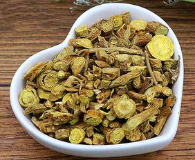 黄芩治什么病最好 黄芩最佳搭配