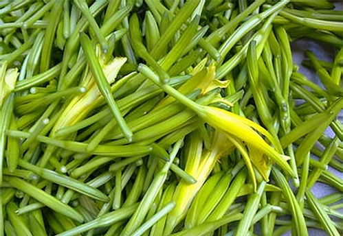 黄花菜上火还是下火 三种人不宜吃黄花菜