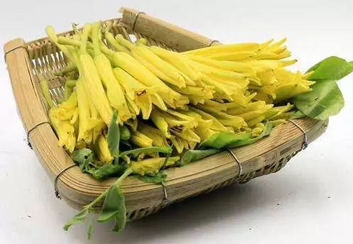 黄花的功效与主治 黄花菜治痛风有特效
