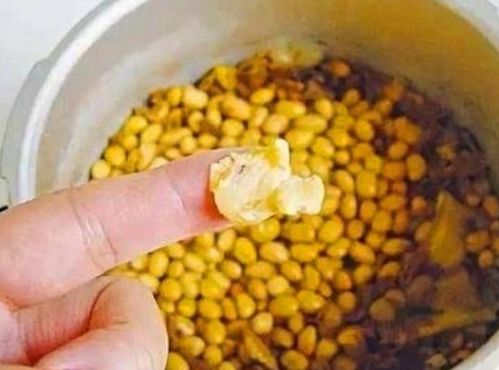 黄豆最怕的肥料 大豆的正确施肥方法