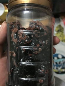 黑加仑吃多了的副作用 黑加仑饮料喝死不少人