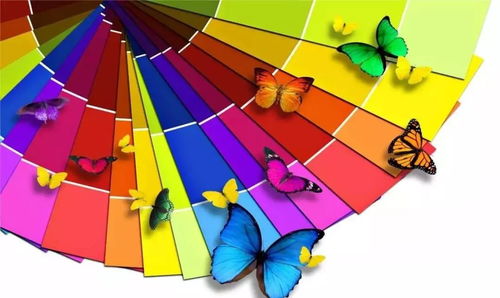 黄颜色的寓意和象征 黄颜色对人心理的作用