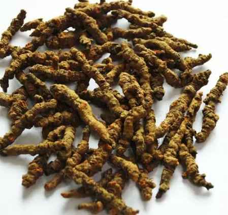 黄连汤治上热下寒 上热下寒十大中成药