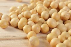 黄豆吃多了有什么坏处 吃多少黄豆算是过多