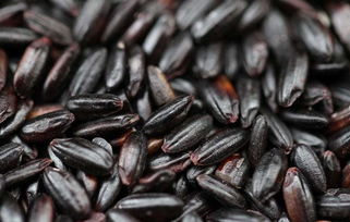 黑米的最佳食用方法 黑米最简单的十种吃法