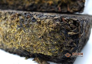 黑茶类都有哪些品种 最常见的黑茶有几种